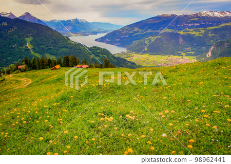 Interlaken an Thun Lake from above Schynige Platte, Swiss alps, Bernese oberland 98962441