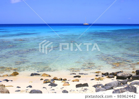 Secluded turquoise beach in Aruba, Caribbean Blue sea, Duth Antilles 98962442