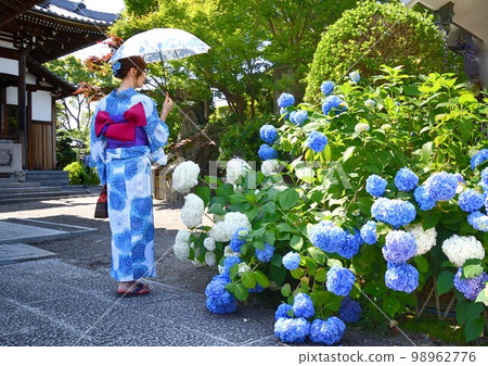 繡球和浴衣的女人 繡球和浴衣的女人 98962776