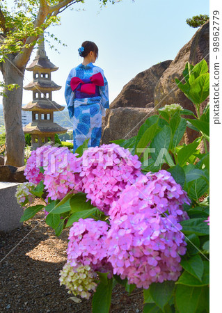 繡球和浴衣的女人 繡球和浴衣的女人 98962779