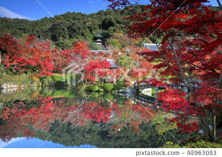 京都府京都市左京區北條池周圍的秋葉和映照在被稱為 Eikando 的 Shojuraizan Muryojuin Zenrinji Temple 池塘中倒掛的秋葉 98963083