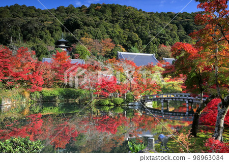Sakyo Ward, Kyoto City, Kyoto Prefecture Autumn leaves surrounding Hojo Pond and upside-down autumn leaves reflected in the pond at Shojuraizan Muryojuin Zenrinji Temple, known as Eikando Sakyo Ward, Kyoto City, Kyoto Prefecture Autumn leaves surrounding Hojo Pond and upside-down autumn leaves reflected in the pond at Shojuraizan Muryojuin Zenrinji Temple, known as Eikando 98963084