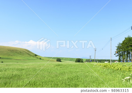 Mount Moan in the shape of a cow in Nakashibetsu, Hokkaido Mount Moan in the shape of a cow in Nakashibetsu, Hokkaido 98963315