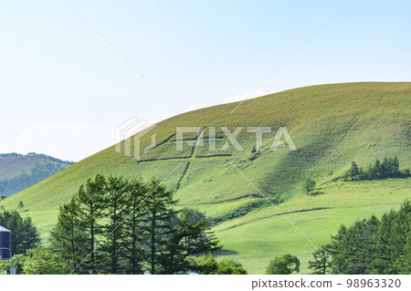 Mount Moan in the shape of a cow in Nakashibetsu, Hokkaido 98963320