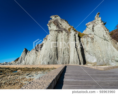 [青森縣] Fotokegaura旅行的風景 98963960