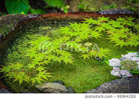 Eiheiji summer scenery 98964288