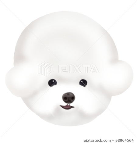 比熊犬臉 98964564