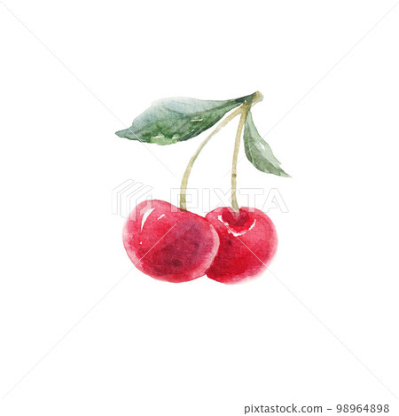Beautiful clip art with hand drawn watercolor cherry. Stock illustration. 98964898
