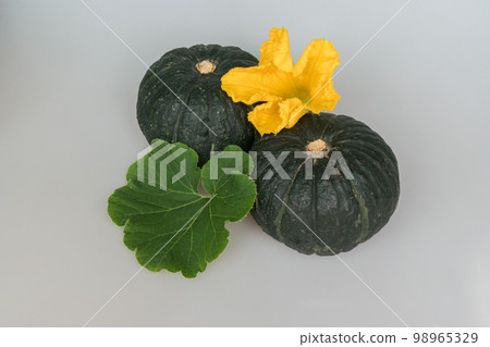 南瓜花，靜物， 98965329