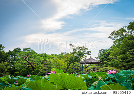 Kuribayashi公園的風景 98965410