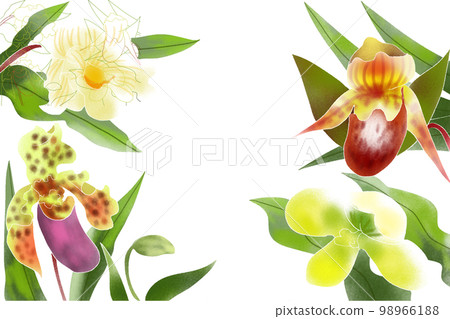 兜蘭 兜蘭 98966188