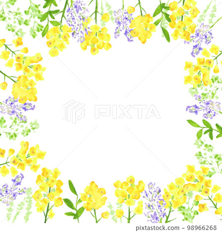 水彩。強姦花裝飾矢量插圖框架。具有水彩觸感的強姦花背景。 98966268