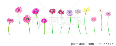 Watercolor. Watercolor touch petals and colorful plant vector illustration. Watercolor botanical vector set. 98966347