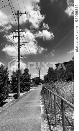 monochrome scenery monochrome scenery 98966835