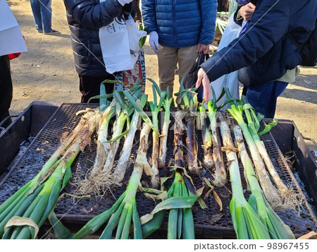 根木深也 根木深也 98967455