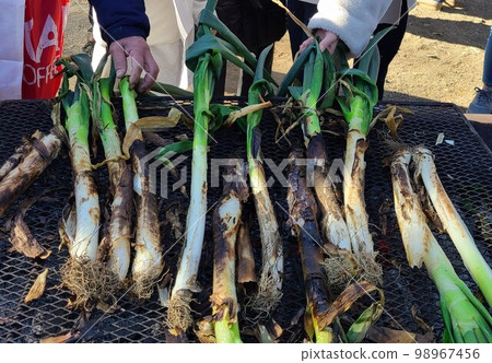 Fukaya Negi 98967456