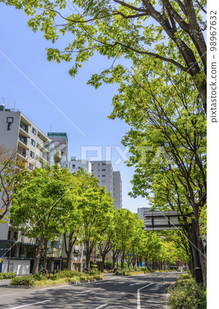Sendai, the City of Fresh Greenery 98967632