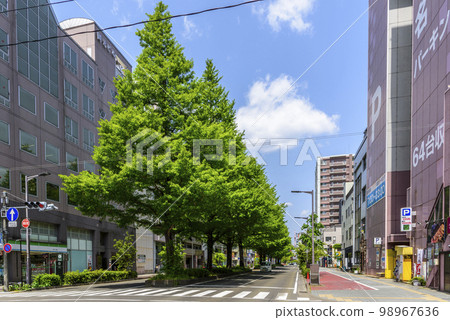新綠之城仙台 98967636