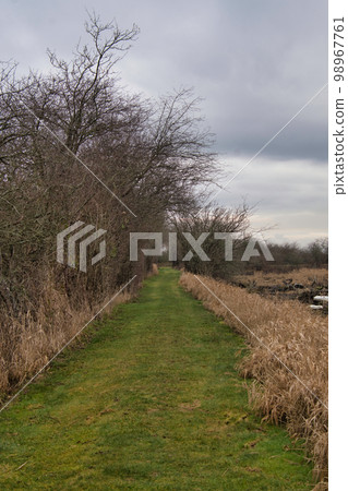 Reifel Bird Sanctuary Trail Delta 不列顛哥倫比亞省 加拿大 98967761