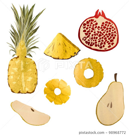 Pineapple pomegranate pear slice set a watercolor  98968772