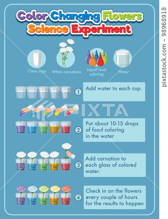Color changing flowers science experiment 98968918
