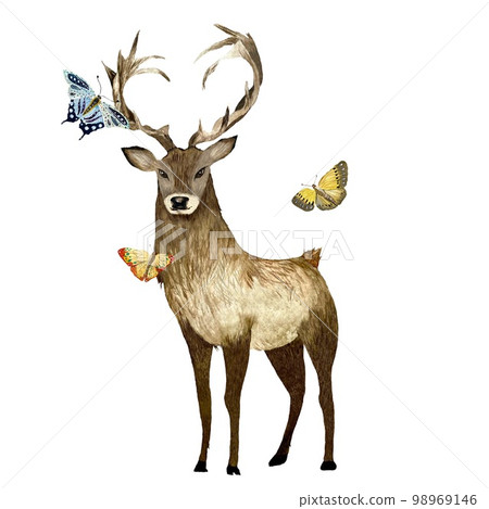 Deer brown butterfly set a watercolor illustration Deer brown butterfly set a watercolor illustration 98969146