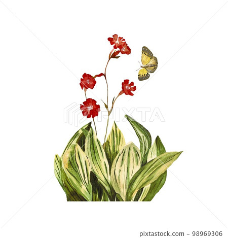 Flower red insect butterfly yellow a watercolor 98969306