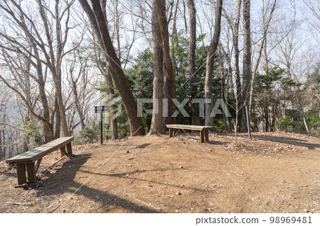 Mountain God on the Tennozan Hiking Course (Sagamihara City, Kanagawa Prefecture) 98969481