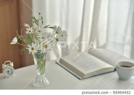 Window Margaret flowers Window Margaret flowers 98969482