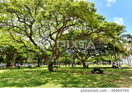 夏威夷的假期 夏威夷的假期 98969764