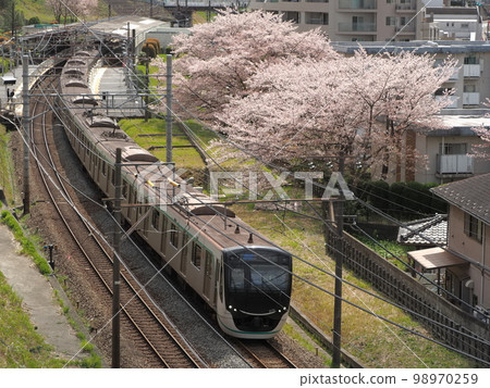 Along the Den-en-toshi Line with cherry blossoms Along the Den-en-toshi Line with cherry blossoms 98970259