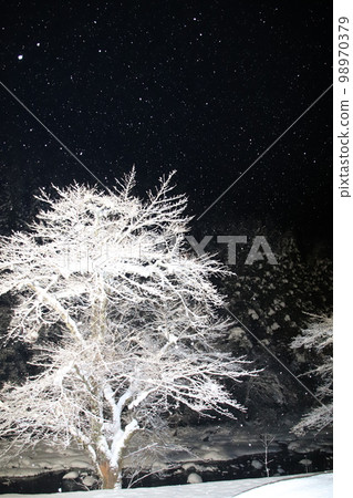 雪精靈在冬日的天空中翩翩起舞 98970379