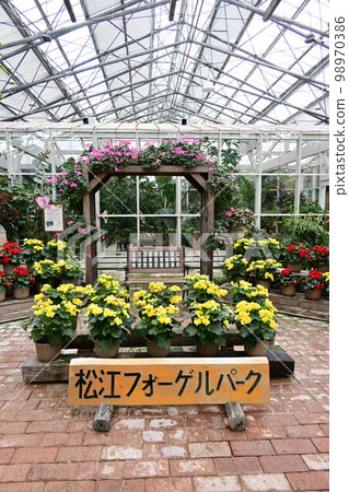 From Matsue Vogel Park From Matsue Vogel Park 98970386