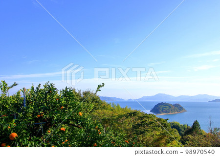 Citrus Fruit Field and Heart Island 98970540