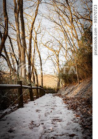 Nishiki Onuma Park in winter Nishiki Onuma Park in winter 98970723