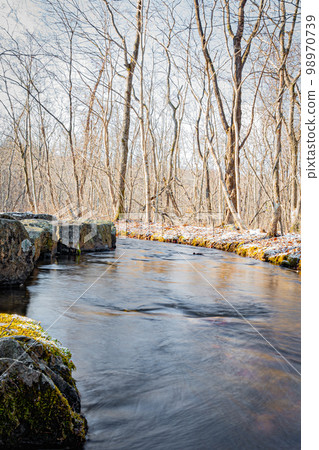 冬天的錦大沼公園 98970739