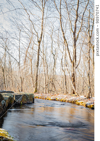 Nishiki Onuma Park in winter 98970741