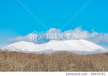 冬天的錦大沼公園 98970781