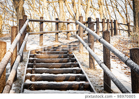 Nishiki Onuma Park in winter Nishiki Onuma Park in winter 98970805