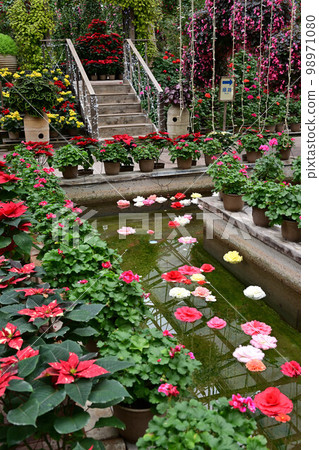 來自Matsue Vogel Park 98971080