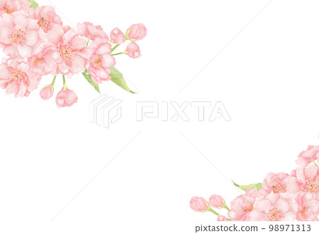櫻桃背景材料2 98971313