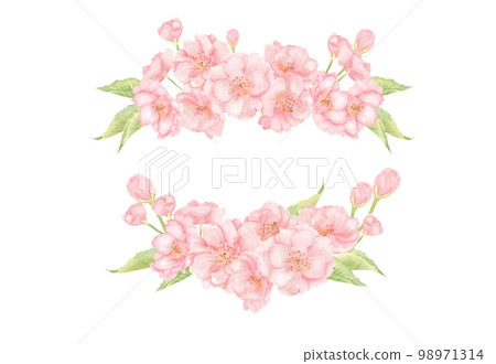 櫻花的素材集 98971314