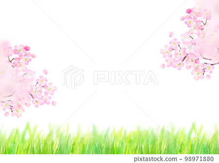 藍天、櫻花和佈告欄水彩插圖 98971880