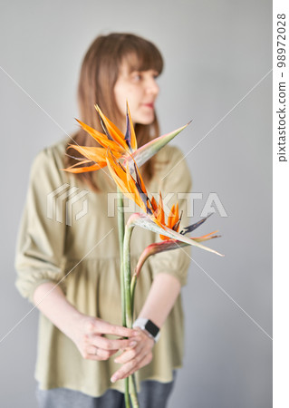 Florist woman creates beautiful bouquet with strelitzia flower. European floral shop concept. Handsome fresh bunch. Education, master class and floristry courses. Flowers delivery. Florist woman creates beautiful bouquet with strelitzia flower. European floral shop concept. Handsome fresh bunch. Education, master class and floristry courses. Flowers delivery. 98972028