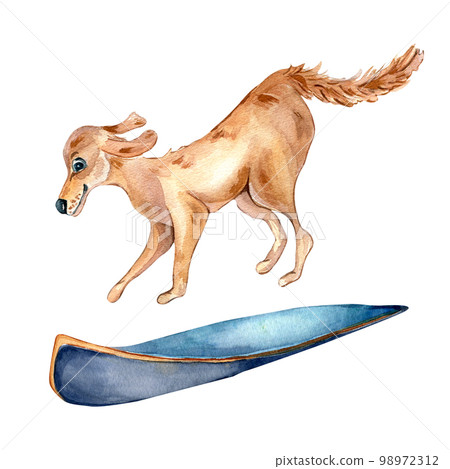 Cartoon dog and surfboard watercolor illustration isolated on white. 98972312