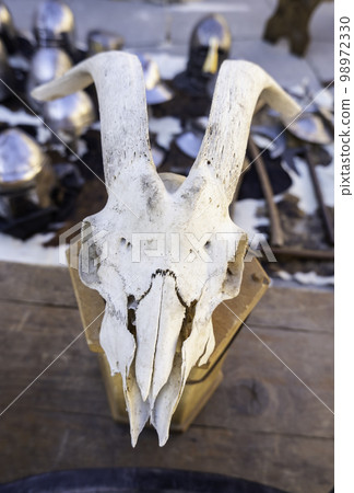 Medieval goat skull 98972330