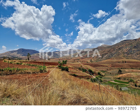 Devastated central Madagascar landscape - Mandoto, Vakinankaratra Madagascar Devastated central Madagascar landscape - Mandoto, Vakinankaratra Madagascar 98972705