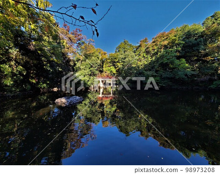 Omiya Hikawa Shrine Kamiike 98973208