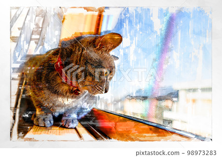 sketch style cat cat cat kijitora gray female female female cat female cat healthy pretty healing 98973283