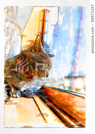 sketch style cat cat cat kijitora gray female female female cat female cat healthy pretty healing 98973287